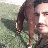 Le foto di Tzahi Shalev