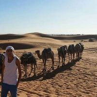 guerrab walid的照片