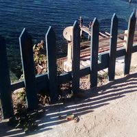 Habib Ben Mansour's Photo