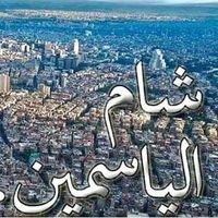 Ahmad Alsaeed's Photo