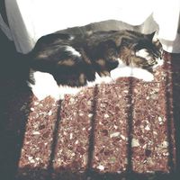 Kamal Oumghar's Photo