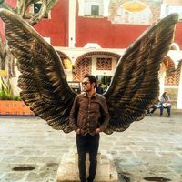 Miguel SOLEDAD的照片