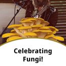 Atlanta Mushroom Fest's picture