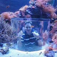 LORENZO LANI's Photo