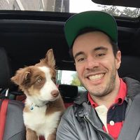 Ludo Plante的照片