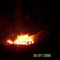 Tyson Daniels's Photo