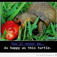 Neville Mottet's Photo