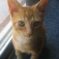 Zülal Toprak的照片