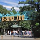 FREE - Daytime Bronx Zoo's picture