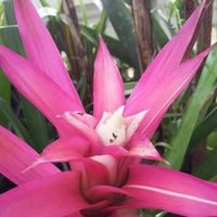 Connie Scheidecker的照片