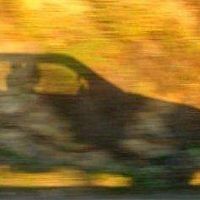 Sarah Provencher's Photo