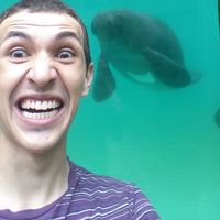 Raul Schubert的照片