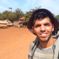 Yogev marom的照片