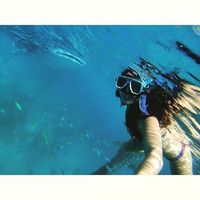 Rebecca Pan的照片