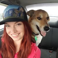 Fotos de Melissa Forest