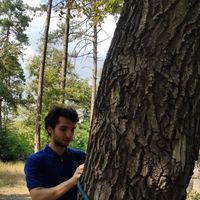 Artur Hoghmrtsyan's Photo