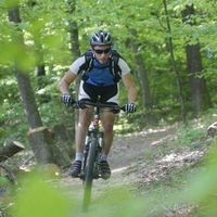 Fotos de Luka Baruškin