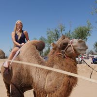 Cynthia Johnson's Photo