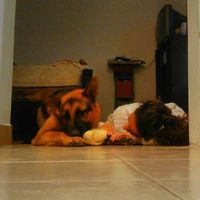 Denise Altamiranda的照片