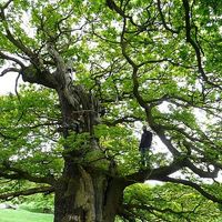 Фотографии пользователя Wolf Kutz