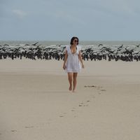 Beatriz Guimaraes的照片