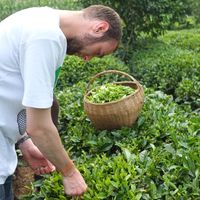 Bart Buurman的照片