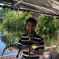 Gian Marco Di Antonio的照片