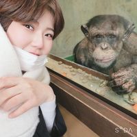 Photos de Fumi 文 sawai 澤井