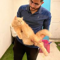 Harshal Patil's Photo