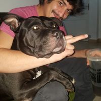 Bryan Horeyco的照片