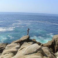 DAVID MELENDEZ的照片