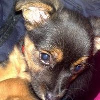 Chiara Parrino's Photo