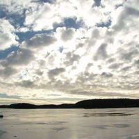 Melanie Scheuenstuhl's Photo