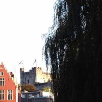 Anita De Coster的照片