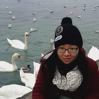 Fangyi Chen的照片