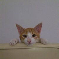 Eirini De Valenjiamo's Photo