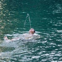 Фотографии пользователя Gad Hason