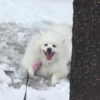 Fotos von Rhonda Lee