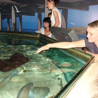 Marcela Matasovska的照片