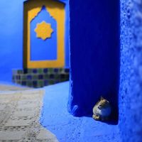 Fotos de soufian ben