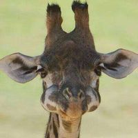 Isabel Zamora's Photo