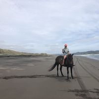 Zdjęcia użytkownika Sophie Juno