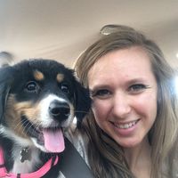 Lauren Platanos的照片