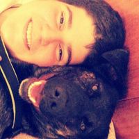 Bruno Toledo的照片