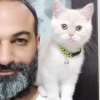 Murad AMEEN的照片