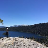 Vihar Tammana的照片