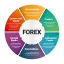 Forex and Financial Markets Education.'s picture