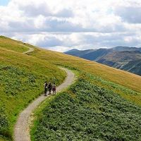 Adelaide Thomson's Photo