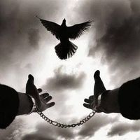 Photos de Yassine Oujaddi