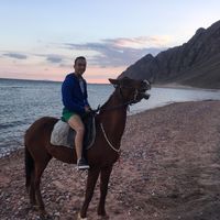 Mahmoud  Halawa的照片